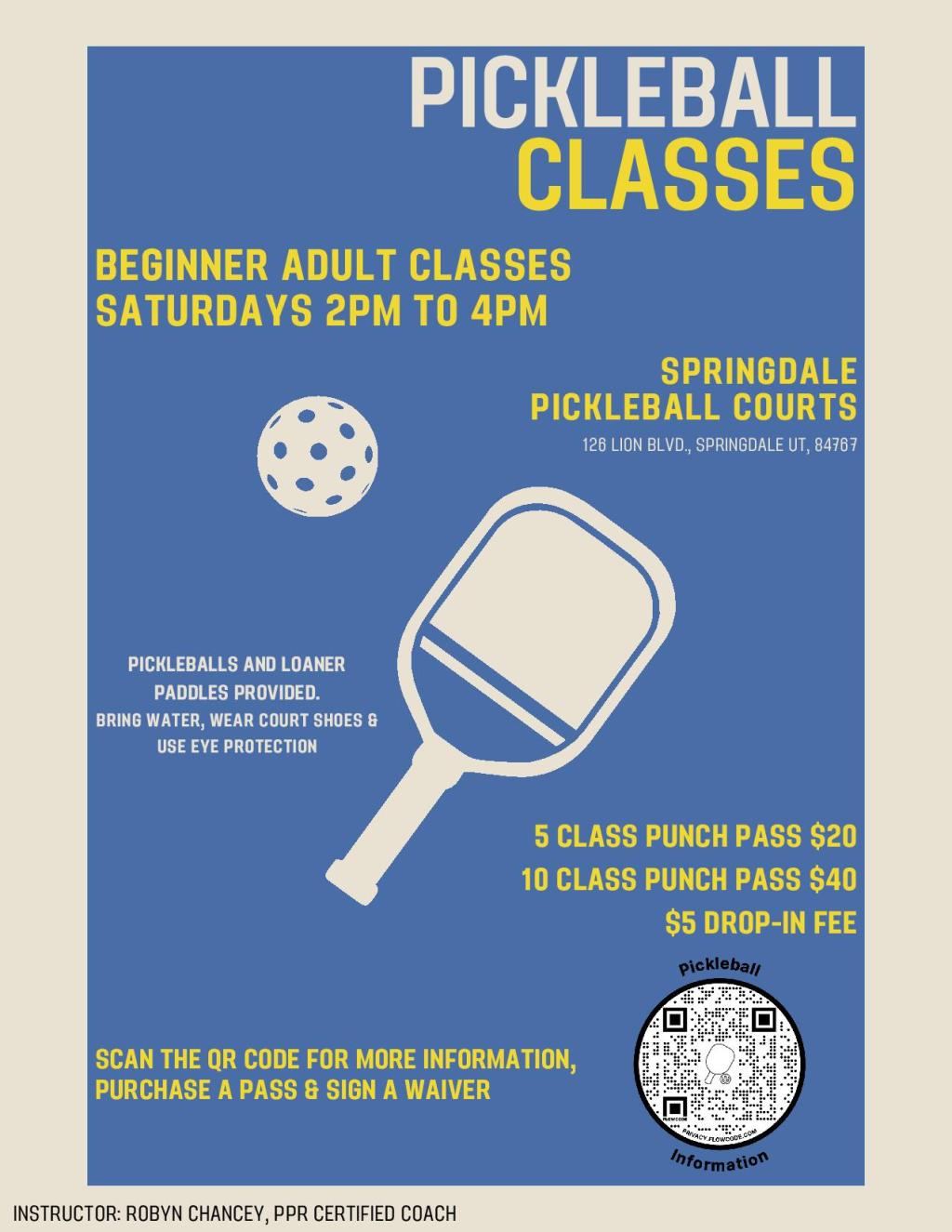 Beginner Pickleball Classes in Springdale, Utah